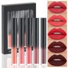 AMY'S DIARY Matte Plum Liquid Lipstick 5Pcs Sets,24-hour Lipstick Dark Deep Red Plum Red Lip Stain 24 Smudge Waterproof for Women (Set05)