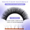 Eyelash Extension Volume Lashes 0.05 Thickness Rapid Blooming Eyelash Extensions C/D curl Easy Fan Volume Lashes 14-20mm mixed Self Fanning Lashes By WENDY LASHES(0.05-DD, 14-20mm)