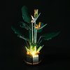 LIGHTAILING Led Light for 10289 Bird of Paradise Building Blocks Model - NOT Included The Model Set