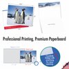 The Best Card Company - 10 Holiday Note Cards for Christmas - Festive Bulk Assortment, Boxed Notecards with Envelopes (4 x 5.12 Inch) - Penguins and Greetings M2951XSG
