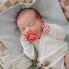 FRIGG Daisy Natural Rubber Baby Pacifier | Made in Denmark | BPA-Free (Cream/Poppy, Size 2) 2-Pack