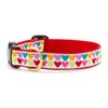 Up Country Heart and Valentine Patterns Dog Collars and Leashes (Pop Hearts Dog Collar, Medium (12 to 18 Inches) 1 Inch Wide Width)