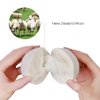 Raffaelo Wool Ball, Wool Dryer Balls XL Premium Reusable Natural Fabric Softener Pet Fur Hair Remover - Set of 6PCS (White)