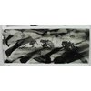 Pebeo Graphic India Ink, 45 ml Bottle, Black