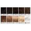 ARCTIC FOX Vegan and Cruelty-Free Semi-Permanent Hair Color Dye (8 Fl Oz, GIRLS NIGHT)
