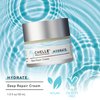 MyCHELLE Deep Repair Cream - Hydrating Face Moisturizer with Kombucha Tea and Vitamin B for Dry Skin