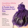 INH Semi Permanent Hair Color Amethyst, Color Depositing Conditioner, Temporary Hair Dye, Tint Conditioning Hair Mask, Safe, Purple Hair Dye - 6oz