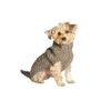 Chilly Dog Cable Dog Sweater, X-Small, Grey