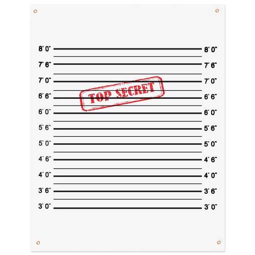 35.4 x 47.2In Secret Agent Mugshot Backdrop Murder Mystery Party Decorations Mugshot Board Top Secret Party Supplies Mystery Party Decorations for Birthday Game Prop Photography Spy Themed Party