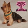 East Side Collection ZA3492 08 15 Ty Designed Monkey Business Harness Dog Collar, X-Small