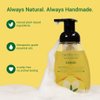 Herb’N Eden Lemon Foaming Hand Soap, Moisturizing for Dry Skin, Gentle Hand Wash, 100% Pure Ingredients, Essential Oils, 8 oz