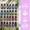 Plantlife Peace Aromatherapy Essential Oil Blend - Straight from The Plant 100% Pure Therapeutic Grade - No Additives or Fillers - Made in California 10 ml