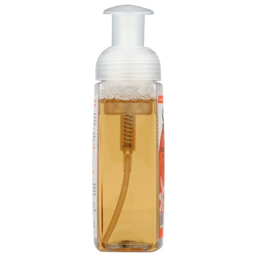 South of France Foaming Hand Wash Orange Blossom Honey -- 8 fl oz - 2PC