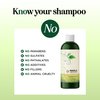 Oily Hair Shampoo for Greasy Hair - Clarifying Shampoo for Oily Hair and Dry Scalp Cleanser for Build Up - Deep Cleansing Shampoo for Oily Scalp Toner with Purifying Essential Oils for Hair Care