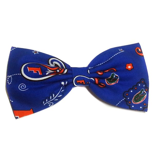 Uf Gators Paisley Hair Bow-blue and Orange, University of Florida, College, Football-for Girls, for Teens, for Women (Alligator Clip)