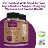 Pomona Wellness Elderberry Gummies with Zinc and Vitamin C for Immune Support 3-1 Chewable Black Elderberry Gummy Supplement for Kids and Adults, Vegan, 90 Gummies
