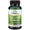 Swanson Maximum Strength Fucoidan Extract - Herbal Supplement Promoting Immune System Function - Natural Formula Supporting Overall Health - (60 Veggie Capsules, 500mg Each)