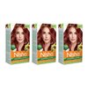 Nisha Creme Permanent Hair Color 100 percent Gray Coverage Hair Dye Easy to Apply Long Lasting Hair Colouring For Ultra Soft Deep Shine Conditioning With Natural Herbs Pack of 3 (Mahogany)