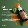 ISNTREE Green Tea Fresh Serum 50ml, 1.69 fl oz | Jeju Green Tea Extract | Controls Excessive Sebum | Balances Oil & Moisture | Relieves & Hydrates Skin | Korean Skincare