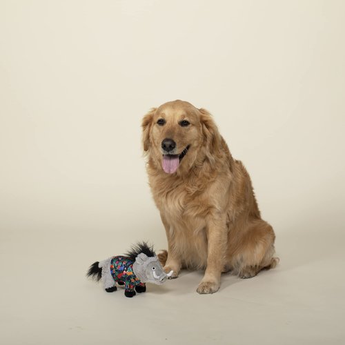 Fringe Studio Plush Dog Toy, HIGH Tides, Good Vibes (289878)