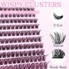 SLSXNL Lash Clusters Eyelash Extensions C Curl Natural Eyelash Clusters 8-16MM Wispy Cluster Lashes 120pcs Thin Band False Eyelashes 8mm 10mm 12mm 14mm 16mm