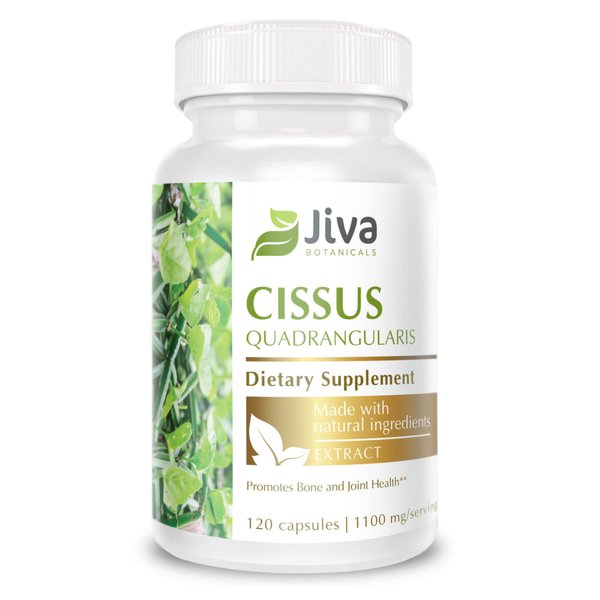 Jiva Botanicals Cissus Quadrangularis Capsules 1100 mg - Cissus Extract Capsules from Cissus Quadrangularis Plant - Support Normal Bone Health - High Potency Cissus Powder Extract - 120 Capsules