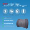 Lumbar Support Pillow: Memory Foam Lumbar Pillow for Lower Back Pain Relief - Car Back Cushion for Driving - Lumbar Support for Car-Office Chair, Wheelchair - Dark Grey