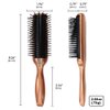 BS Anti Static Hairbrush [Made in Japan] 7 Row Curly Hair Brush for Styling, Blow-Drying, and Detangling, Static Free Hair Brushes for Women, Gold