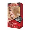 Revlon Permanent Hair Color, Permanent Hair Dye, Colorsilk with 100% Gray Coverage, Ammonia-Free, Keratin and Amino Acids, 70 Medium Ash Blonde, 4.4 Oz (Pack of 1)