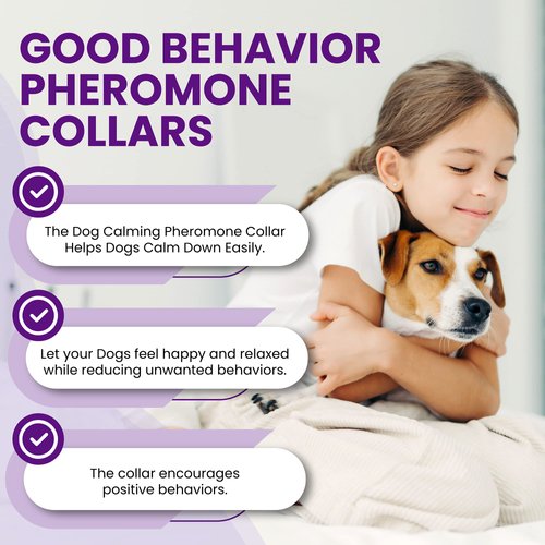 Royce Naturals 4 Pack Calming Collar for Dogs, Pheromone Breakaway Dog Collar, Separation Anxiety Relief for Dogs, Purple, (PETCOL01-3PP)
