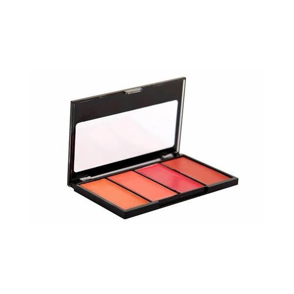 BYS Beauty Blender Blush Palette, Shades of Purple, Makeup Collection, Red