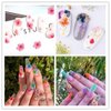 3D Nail Dried Flowers Sticker Set CHANGAR Real Dried Flowers for Nail Art & Resin Craft DIY Five Petal Flower Leaf Gypsophila Dry Flower Nail Art Decoration Kits(2 Boxes)