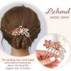 Bohend Rhinestone Hair Comb Flower Crystal Hairpieces Wedding Hair Accessories Jewelry for Women and Girls (Champagne)