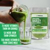 XPRS Nutra Organic Barley Grass Powder - 4 Ounce Premium Barley Powder Rich in Antioxidants, Amino Acids and Protein - Barley Green Superfood for Immunity