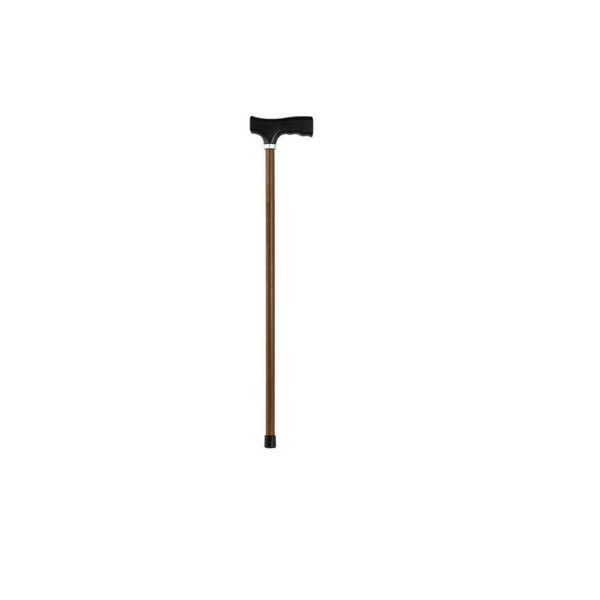 100th Day of School Small Walking Cane