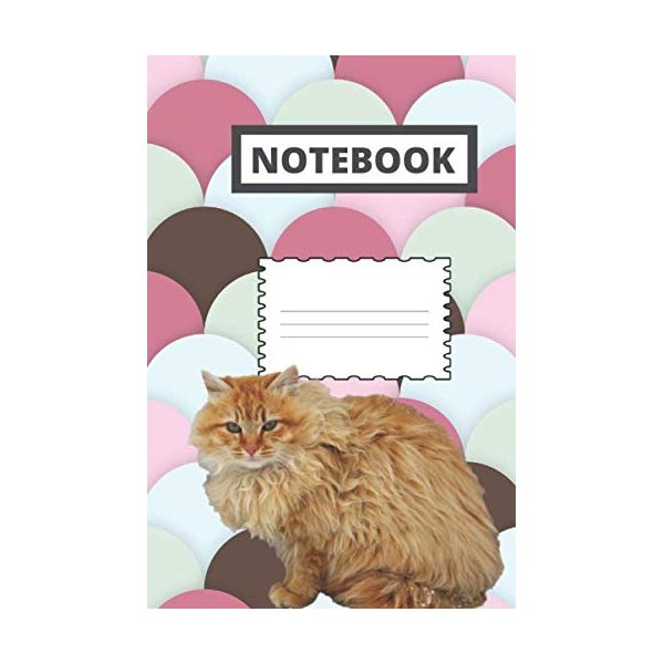 Notebook: Maine coon cat college notebook | 6 x 9 | 120 pages