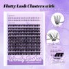 WENDY Lashes Clusters Multi-Type DIY Eyelash Extension - Lash Clusters D Curl 40D & Bottom Lashes, Black Cluster Eyelash Extensions Wispy Soft Individual Lashes Suitable for Beginners, 10-16 MM