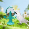 Oooct Bird Foraging Toys, Parrot Rotating Feeders, Bird Chewing Toys, Bird Enrichment Toys, Bird Cage Accessories, Suitable for Birds Parrots Parakeets Cockatiels Conures Lovebirds