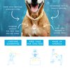 Dog Tag Art Zen Kitty Custom Pet ID Tag for Cats, Silent Polymer Coated Stainless Steel Nametag with Customized Identification Information - Small .875 inch