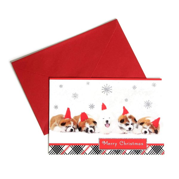 St. Bernard Pups in Santa Hats Merry Christmas 16 Boxed Seasonal Cards