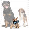 TUFFY - World's Tuffest Soft Dog Toy - Junior Bone 2-Blue-Squeakers -Multiple Layers. Made Durable, Strong & Tough.Interactive Play(Tug, Toss & Fetch). Machine Washable & Floats