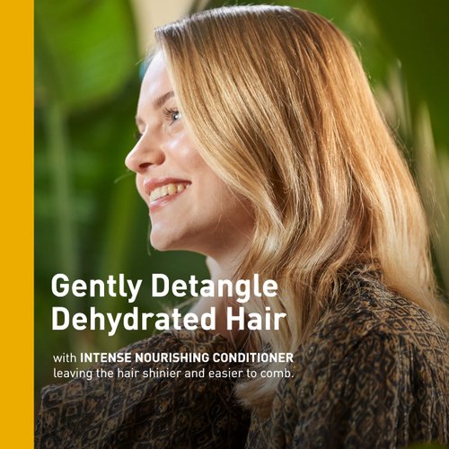 INSIGHT Clean Beauty Dry Hair Nourishing Conditioner With Organic Oat Extract, Vegan, 13.5 fl oz