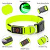 Illumifun LED Dog Collar, USB Rechargeable Light Up Dog Collars, Adjustable Safety Dog Collar Light for Your Dogs Walking at Night (Green, Medium)