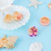GAFATORY 4Pack Seashell Ocean Hair Clips for Women Blue Mini Hair Clips Small Clips Starfish Seashell Mermaid Accessories Whale Hair Mini Animal Cute Creaseless Hair Clips for Girls