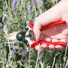 Haus & Garten PrecisionPRO 8" Titanium Pruning Shears - Heavy Duty Professional Bypass Pruner - Use As Rose Clippers, Premium Gardening Secateurs, Garden Scissors, Handheld Yard, Tree, & Plant Tool