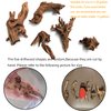 Tfwadmx 5PCS Aquarium Driftwood Branches Reptiles Trunk Driftwood Natural Wood Fish Tank Decoration Plant Stump Ornament Decor Assorted