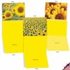The Best Card Company 10 Assorted Thank You Notecards Bulk Box Set 4 x 5.12 Inch with Envelopes (10 Designs, 1 Each) SUNNY SIDE UP: 10 Assorted Thank You Note Cards w/Matching Envelopes. M6065