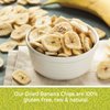 Dried Banana Chips Unsweetened Bulk, 1 lb. Dried Bananas, Unsweetened Banana Chips, Dehydrated Bananas, Unsweetened Dried Banana slices, Banana Crisps. All Natural, Non-GMO, 16 oz.