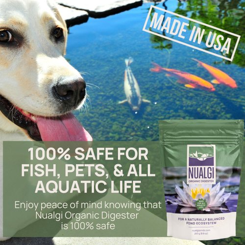Nualgi Organic Digester, 8.8 oz Concentrate for Pond and Water Feature Maintenance, High-Count Bacteria for Naturally Digesting Waste, Treats up to 8,000 Gallons - 100% Safe for All Aquatic Life