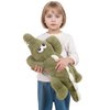 24 inch Green Alligator Stuffed Animal, Giant Crocodile Body Pillow Plush Toys, Home Decor Birthday Gifts for Boys Girls Adults Kids,Christmas, Valentine's Day, Birthdays